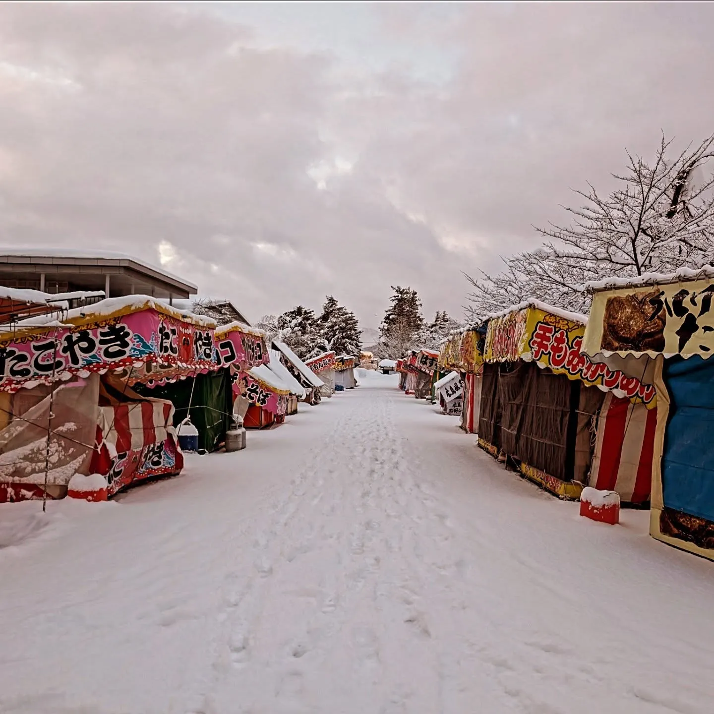 #上杉雪灯篭まつり 2025 ２日目の朝です❄️皆さん遊びに...